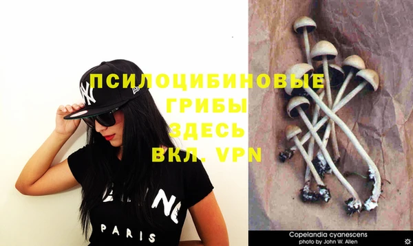 гашиш Алексеевка