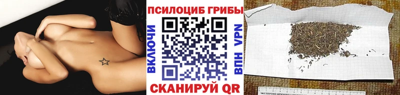 Галлюциногенные грибы Psilocybine cubensis  магазин продажи   Анапа 