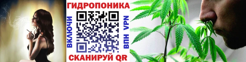 наркота  Анапа  Канабис планчик 